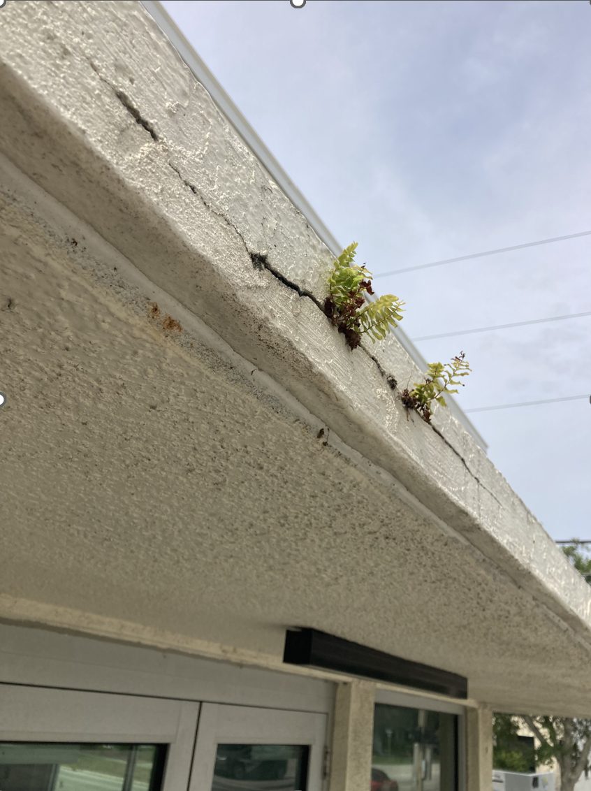 Silicone Roof Restoration